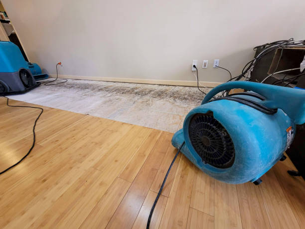 Professional Ceiling Water Damage Repair technician working in Keysville, GA